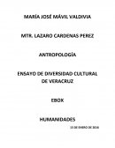 Culturas de veracruz