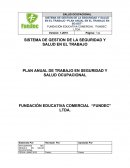 PLAN ANUAL DE TRABAJO EN SEGURIDAD Y SALUD OCUPACIONAL