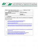 SISTEMA DE FINANCIAMIENTO MEXICANO