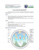 MATERIAL DE APOYO A LA DOCENCIA EVALUACIÓN DEL DESEMPEÑO