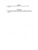 Determinar la cantidad óptima de luminarias, el tipo, potencia y la clase de iluminación.