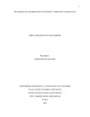 BUSQUEDA DE INFORMACION EN INTERNET Y BIBLIOTECAS DIGITALES