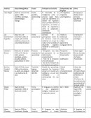 Autores del lenguaje