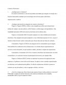 Preguntas e-commerce