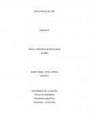 EXPLOTACION DEL ORO ENFASIS III