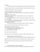 CONCEPTO AMPLIO DE LA PRODUCTIVIDAD