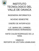 REPORTE DE LECTURA USABILIDAD Y ACCESIBILIDAD