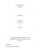 Evaluación Nacional Cibercultura