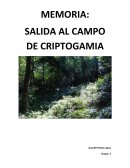Memoria de salida de criptogamia