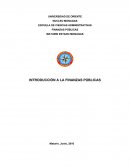 INTRODUCCIÓN A LA FINANZAS PÚBLICAS