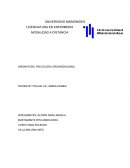 Unidad 1: organización- contrato psicológico