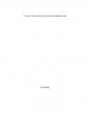 EL FMI Y SU INCIDENCIA EN PAÍSES EMERGENTES