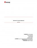 Plan de emprendimiento.