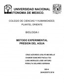 METODO EXPERIMENTAL PRESION DEL AGUA.