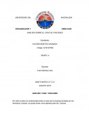 ANÁLISIS SOBRE EL CASO DE CASCADES.