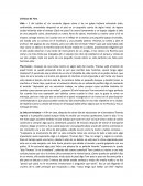 Pequeñas historias Crónicas de Tom.