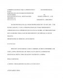 COMISION NACIONAL PARA LA PROTECCION Y RAYMUNDO ROJAS PLAZA.