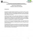 Programa profesional