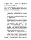 ENsayo - Fisiología vegetal