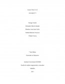 INNOVACION EN LA EMPRESA X.