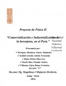 “Comercialización e Industrialización de la berenjena, en el Perú.”.
