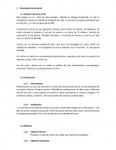 Resumen ejecutivo, Brief