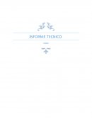 INFORME TECNICO SYSDE