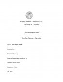 Tema: Derecho a huelga.