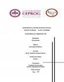 Ensayo de la sociedad.