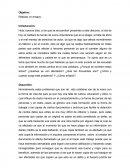 Objetivo: Realizar un ensayo.