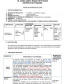 SELECCIÓN DE COMPETENCIAS, CAPACIDADES Y FORMULACIÓN DE INDICADORES.