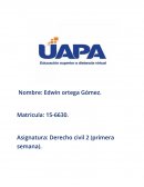 Definición de las obligaciones. Las obligaciones que asumen las partes podría decirse esencia del contrato