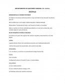 ROMBENCÉFALO O CEREBRO POSTERIOR