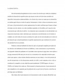 La gran venta ensayo.