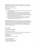 Trabajo no clásico, organización y acción colectiva Tomo I. Introducción: “construcción de la identidad y acción colectiva entre trabajadores no clásicos como problema”