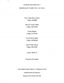 Actividades Intermedias Fase 1 Identificación de Variables Clave y de Actores