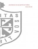Trabajo Final de Investigación Operativa II