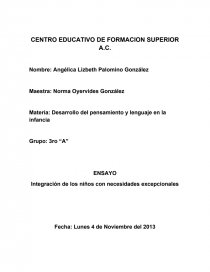 INTEGRACION DE LOS NIÑOS CON NECESIDADES EXCEPCIONALES. Página 1