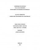 CALOR DE COMBUSTION.