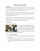 Las pymes en el Peru y el mundo.