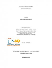 SOCIOLOGÍA ORGANIZACIONAL TRABAJO MOMENTO 2. Página 1