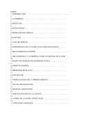 ESTRUCTURA DE LA ORGANIZACION SALMON CORP SAC