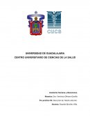 Anatomía Humana y disecciones - Diseccion de muslo anterior