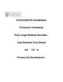 DIFERENTES CONSEPTOS DE SOCIALIZACON.