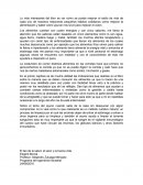 Lo más interesante del libro es ver cómo se puede mejorar el estilo de vida de cada uno de nosotros mejorando pequeños hábitos cotidianos como mejorar la alimentación y saber cómo ayunar nos sirve para mejorar el colon.