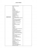 Plan de trabajo para observacion docente en educacion secundaria