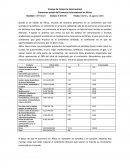 Ensayo de Comercio Internacional