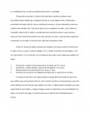 EL COMIENZO DE LAS RELACIONES SOCIALES: LA MADRE