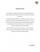Curricula profesional de la carrera de administración