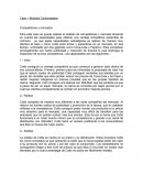 Caso – Bebidas Carbonatadas Competidores y mercados